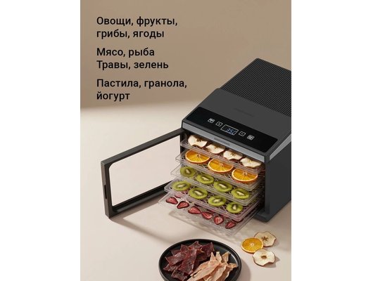 Сушилка REDMOND FD1107 черный